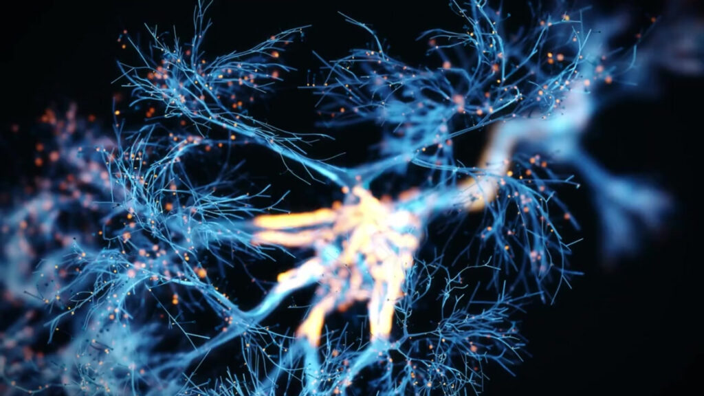 Image of brain neurons firing representing the work of PointHealth Clinic