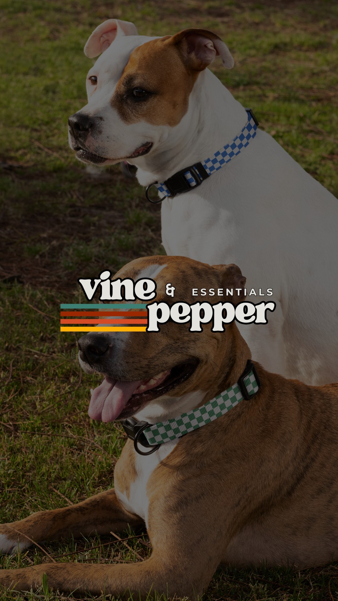 image representing work with vine and pepper